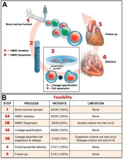 โรคหลอดเลือดหัวใจ HEART DISEASE